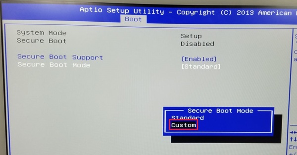 1securebootcustom.jpg