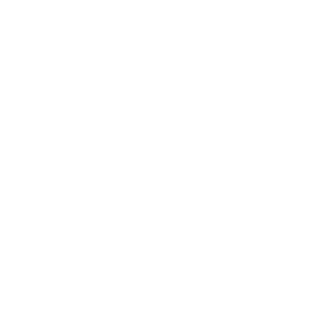 Gears Icon